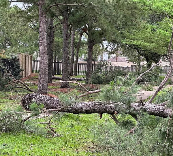 Alerte tempête !